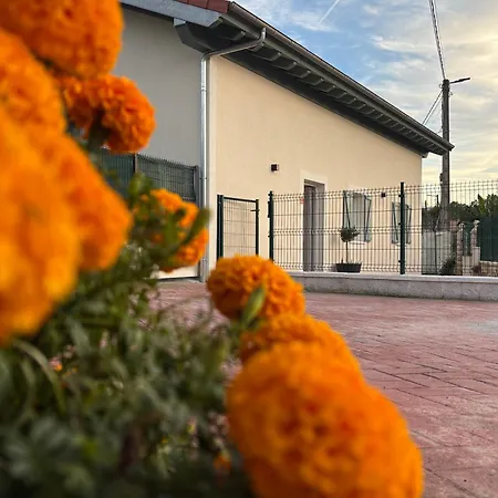 La Casuca Del Olivo Casa vacanze